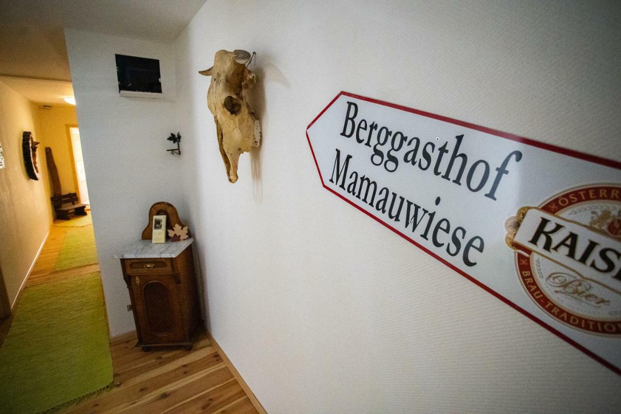Ferienwohnungen Mamauwiese Gutenstein Ngoại thất bức ảnh