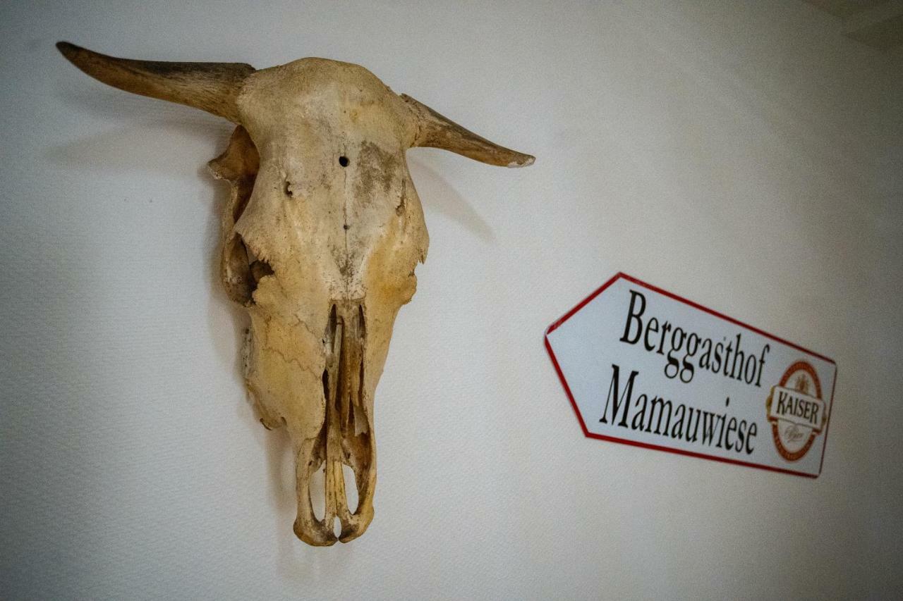 Ferienwohnungen Mamauwiese Gutenstein Ngoại thất bức ảnh